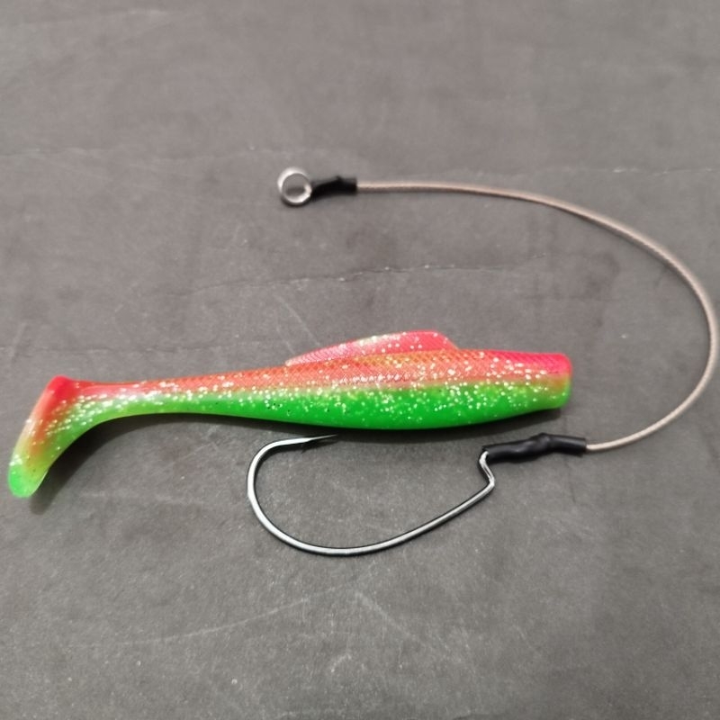 SOFT LURE 10 CM + ASIS WORM HOOK 3/0 Bkk