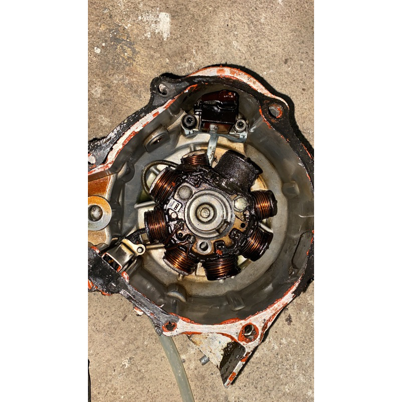 Spul tiger original copotan