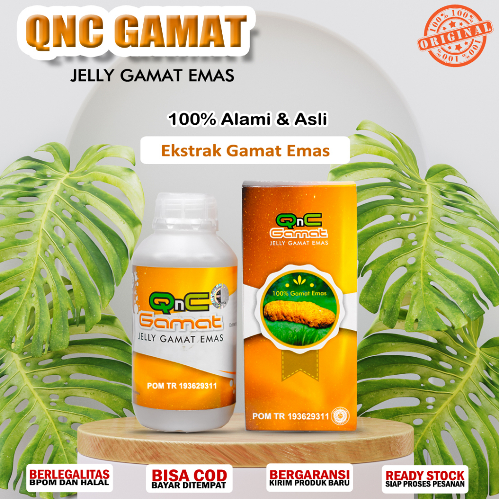 Obat Emfisema - Obat Herbal Emfisema - Radang Paru -Sesak Napas-Vitamin Jelly Gamat