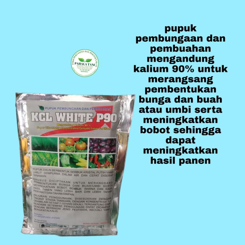 KCL WHITE P90/pupuk kalium 90%/pupuk kcl /kcl white/pupuk bunga/pupuk buah/meningkatkan hasil bobot/