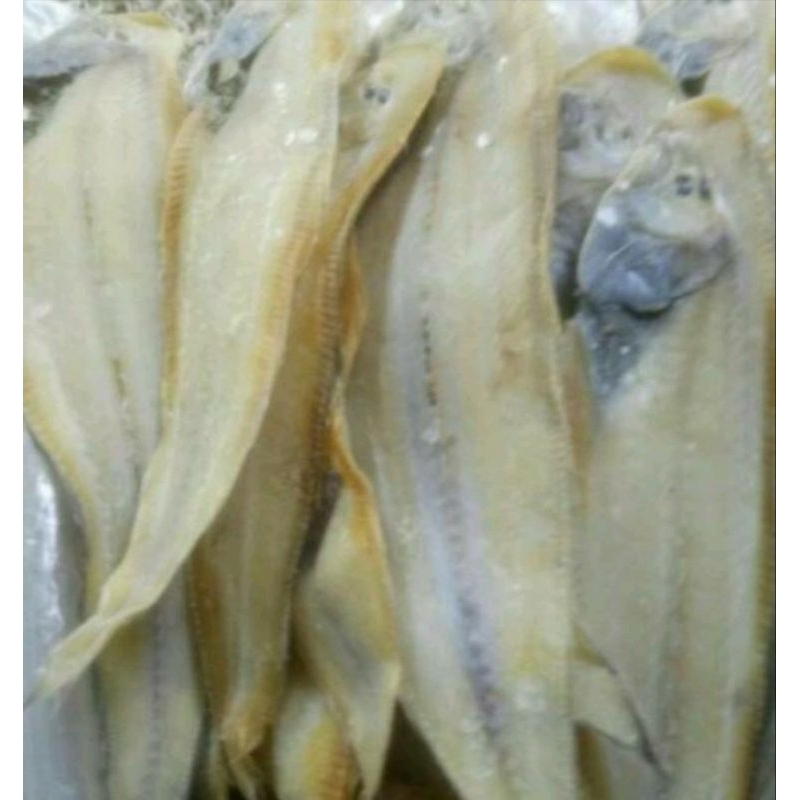 

Ikan Lidah Medan 500 gram