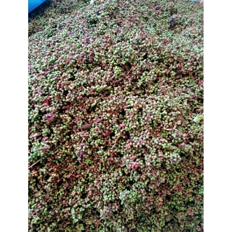 

Andaliman Segar 250gr