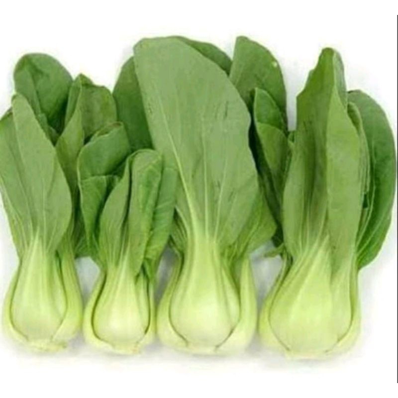 

sayur pakcoy 500gr