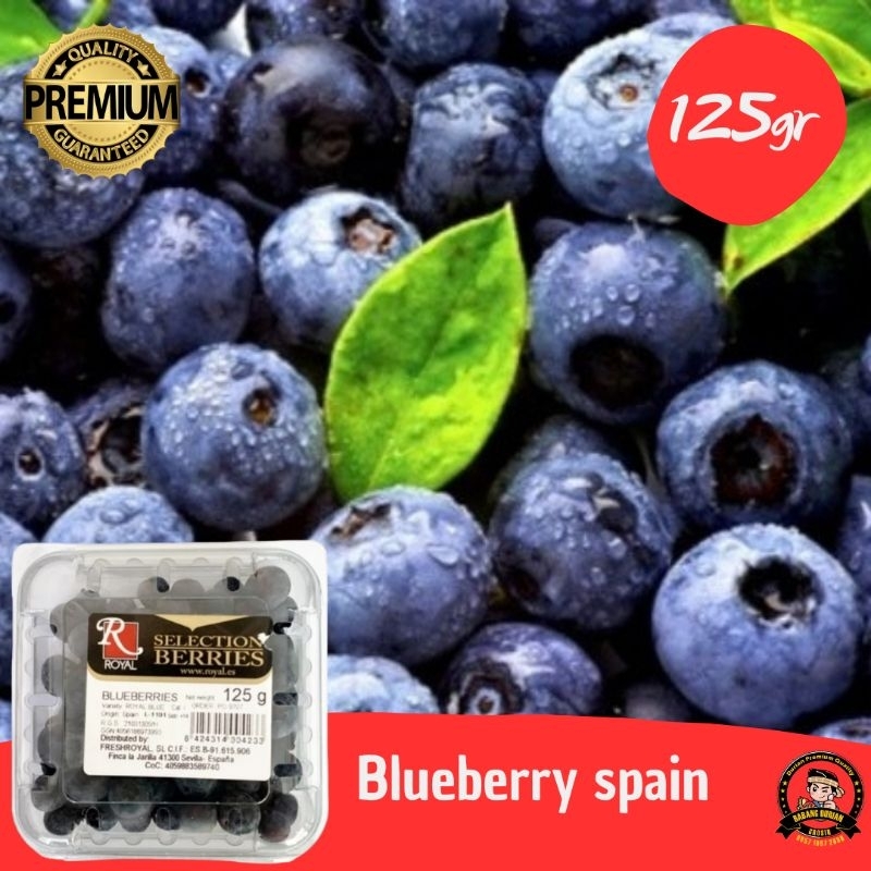 BLUEBERRY FRESH SPANYOL 125GR KUALITAS TERBAIK/BUAH BLUEBERRY FRESH 200GR