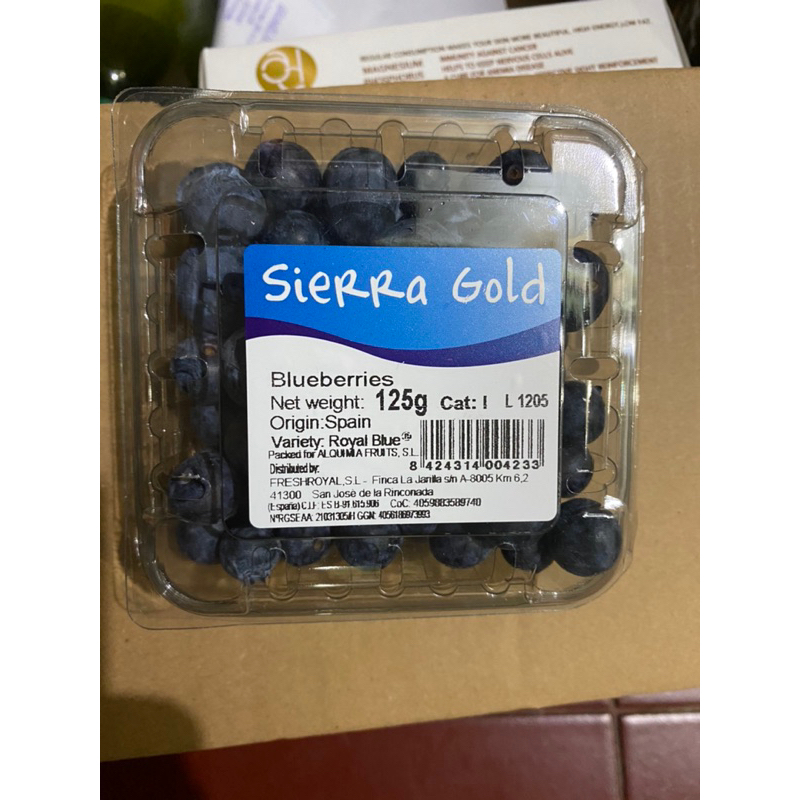 

Blueberry original spain/ Buah blueberry import spain 125g