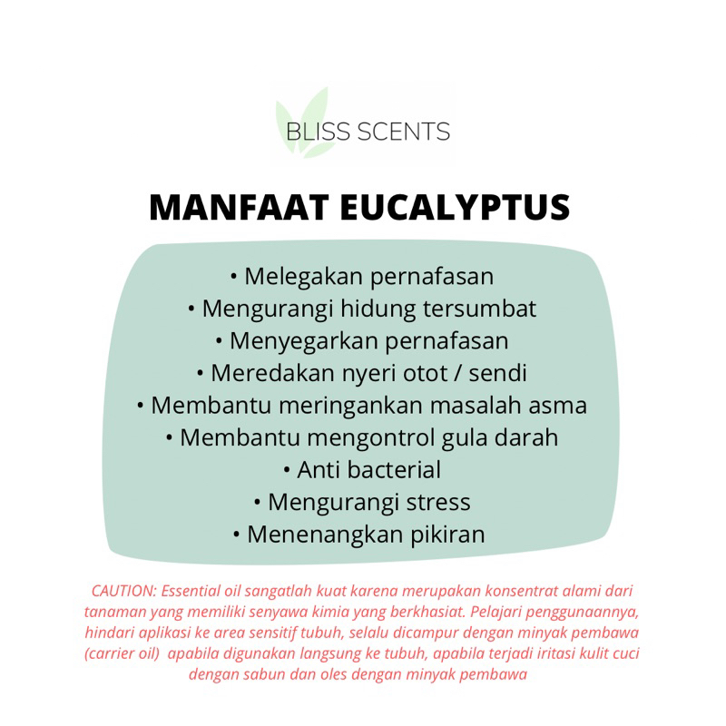 BLISS SCENTS Eucalyptus 100ml Essential Oil Aromatherapy 100% Murni Therapeutic Grade Aromaterapi