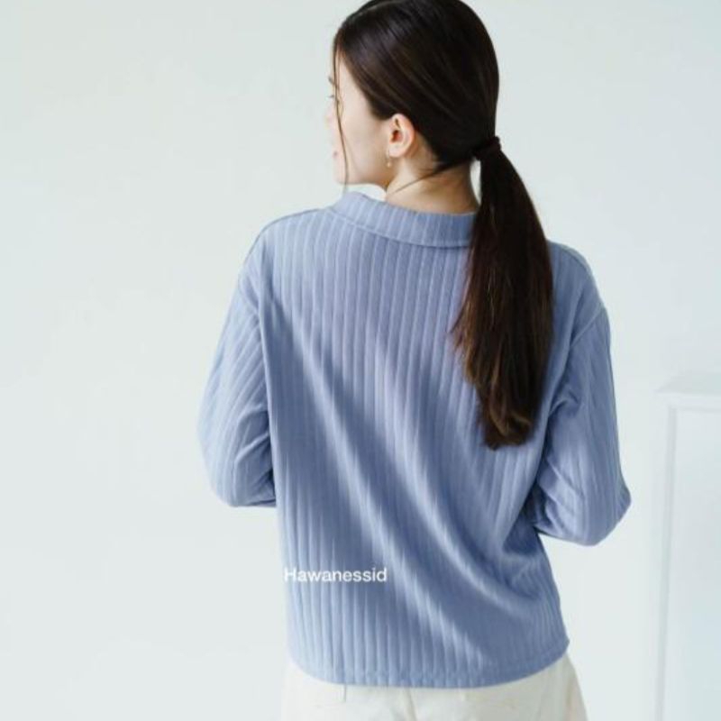 Crop Top Longsleeve Polo Knit Shirt Lengan Panjang Aleena Top