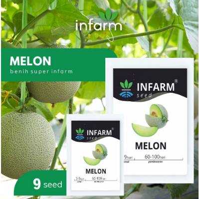 Benih Bibit Biji Super Buah Melon biji premium kualitas terbaik /INFARM - Benih Bibit Biji Super Bua