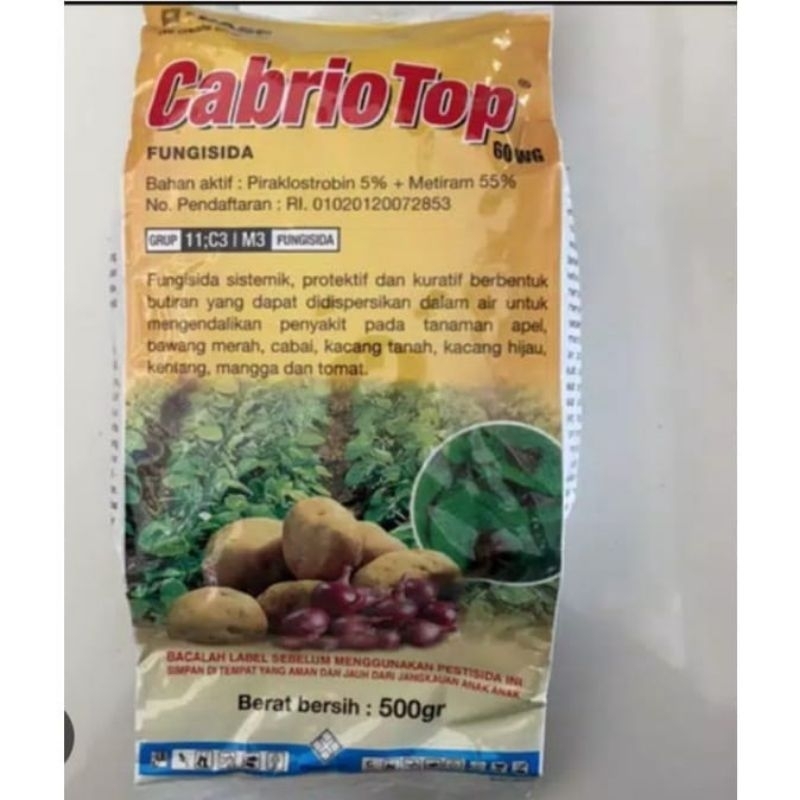 Cabrio top 60 WG 500Gram