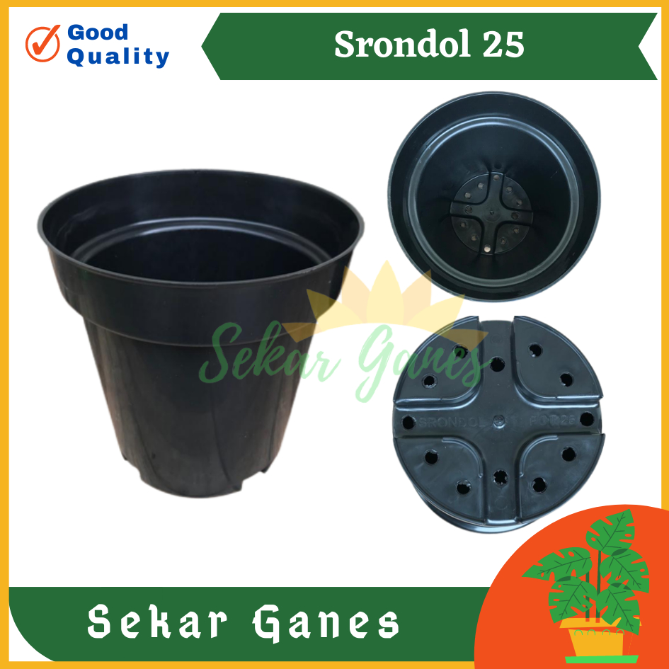 LUSINAN Pot Srondol 25 Bata Hitam Putih  Coklat Pot Tirus Tinggi Plastik 20 25 30 Putih Hitam Besar Tebal Lusinan Pot Eiffel Eifel Efiel Effiel 25