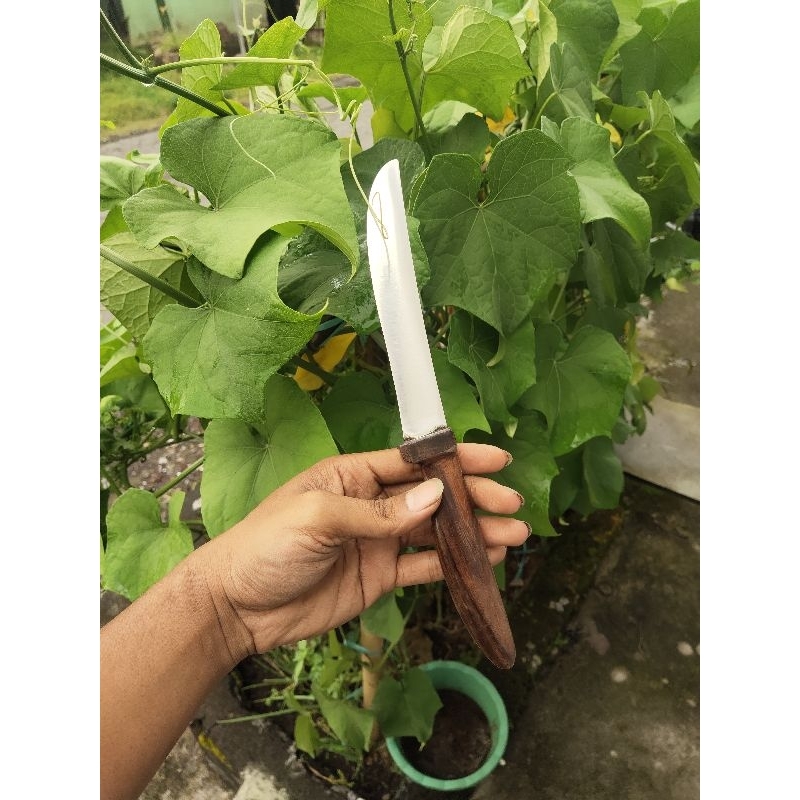 pisau elmax steel original