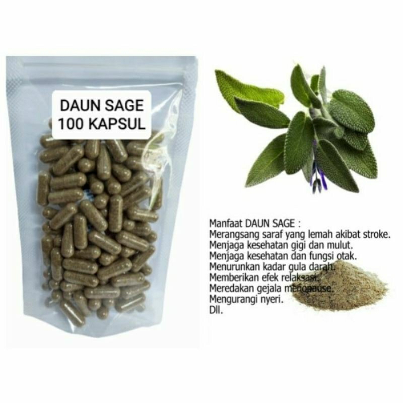 

DAUN SAGE Kapsul Herbal Alami Kemasan Hemat - isi 100 pcs
