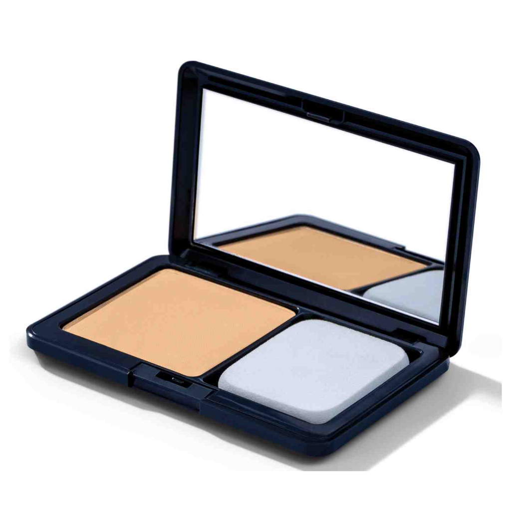 The One illuskin two way cake foundation