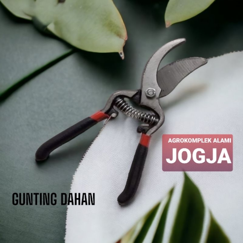 Gunting dahan / guntung taman palazzo gunting bengkok besi