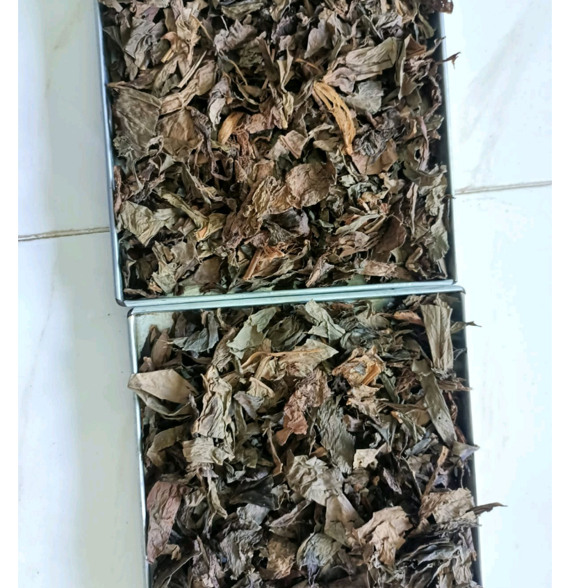 

HERBAL JAMU TERBAIK DAUN EKOR NAGA KERING 500 GRAM