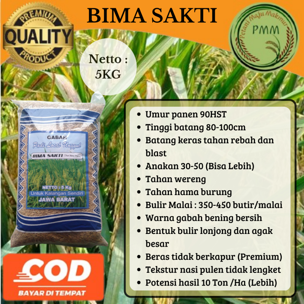 Biji Padi BIMA SAKTI 5KG Ciherang Malay Panjang