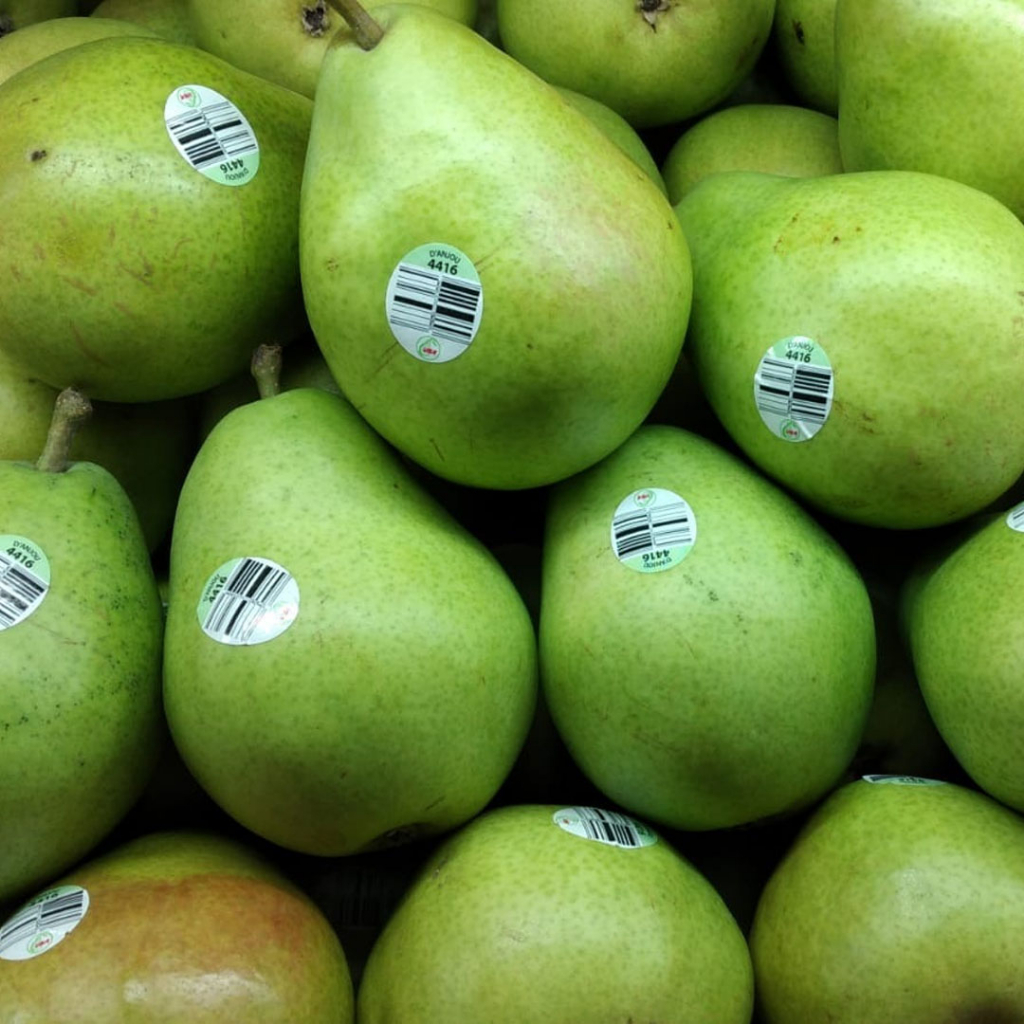 

PEAR GREEN ANJOU USA (PACK) +/- 1 Kg (1315)