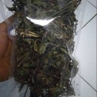 

JAMU HERBAL TERBAIK DAUN GEDI KERING/AIBIKA KERING 1KG