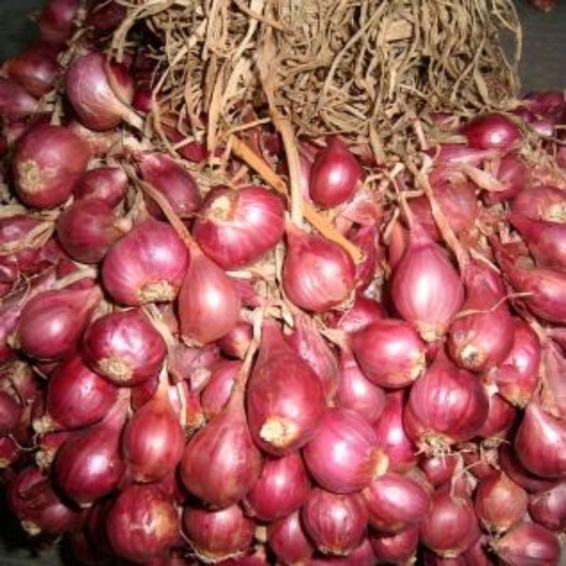

bawang merah Brebes super per 1 kg 40.000