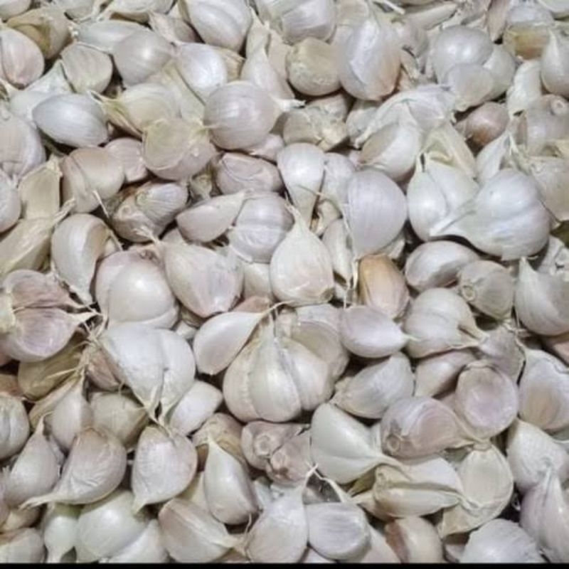 

bawang putih kating 1 kg