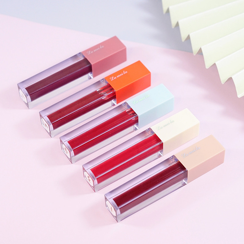 Lameila satin velvet matte lip gloss  LM 1028