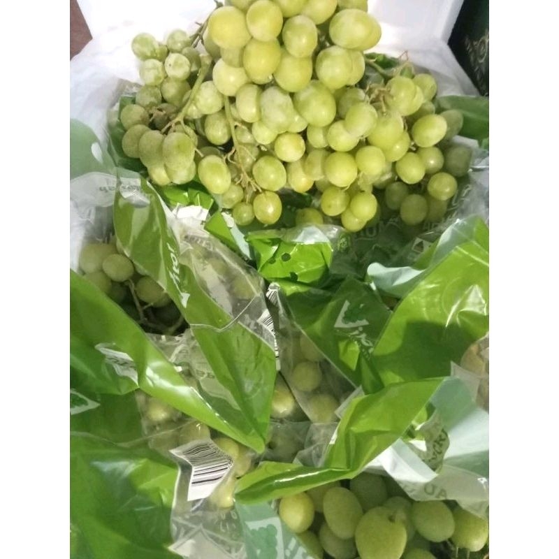 Anggur Green Autumn Crispy