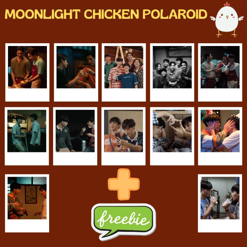 Moonlight Chicken & EARTHMIX GEMINIFOURTH Polaroid