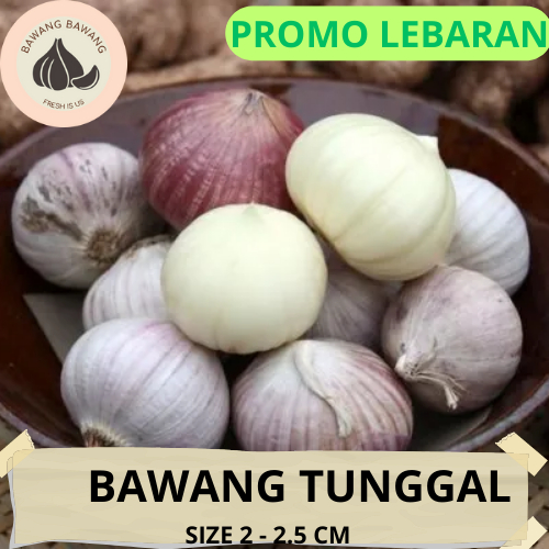 Bawang Putih Tunggal Lanang Besar 1KG