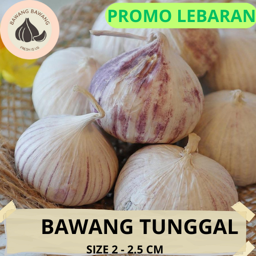 Bawang Putih Tunggal Lanang Besar 500G