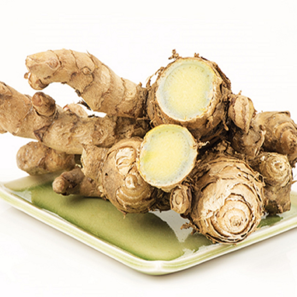 

Temu Ireng Kering Rempah Jamu Herbal Tradisional Kencing Nanah Ambein