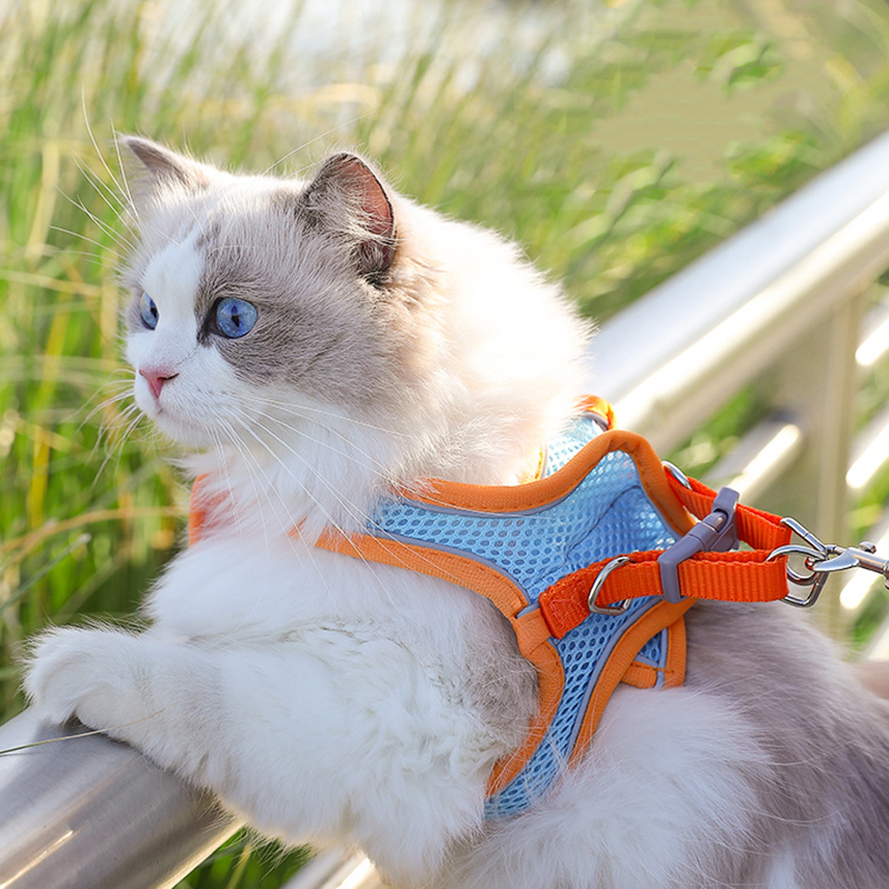 Rompi Kucing Harness Tali Rompi Bernapas Hewan Harness Kucing Tali Tuntun Traksi Reflektif Tali Dengan Harness Rompi Hewan Peliharaan