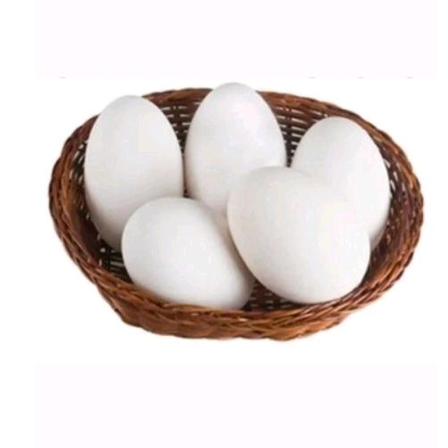 

Telur Angsa Soang Fress 100%/ Telur Angsa Hasil Budidaya Sendiri