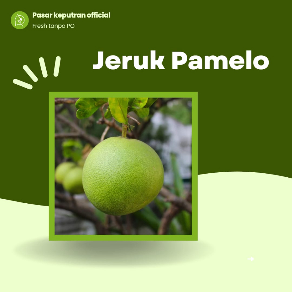 

Jeruk pamelo fresh, jeruk pamelo, pamelo