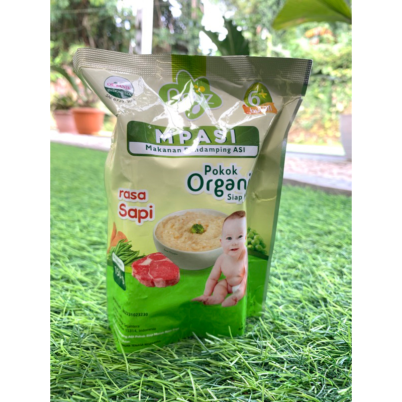 

MPASI Bubur Organik