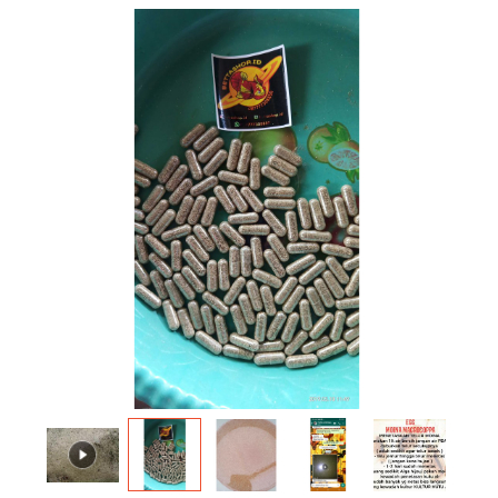 Telur kutu air moina macrocopa untuk starter kultur kutu air  harga per 1 kapsul