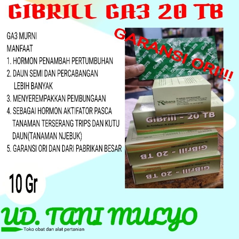 GA3 GIBRILL 20 TB 10 GR