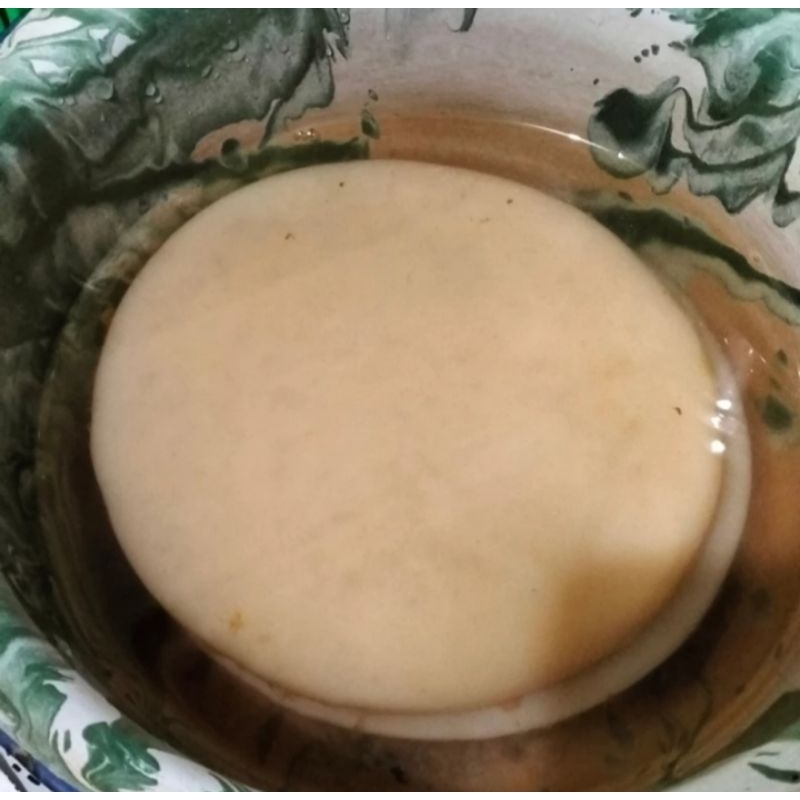 

by Kombucha Tea ( Diameter uk. 14 cm plus air starter 200 ml)