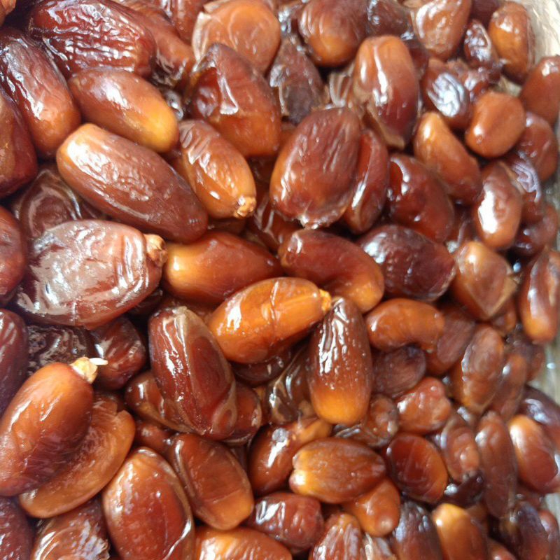 

Tunis madu