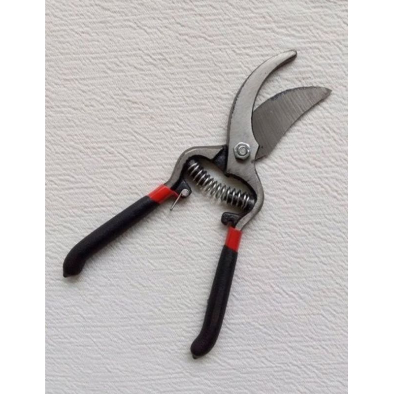 

Gunting Dahan 8 inch Pohon Ranting Berkualitas