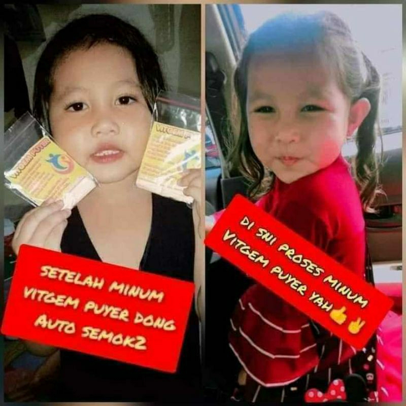 VITGEM PUYER ORI 100% SUPLEMEN MAKANAN☑️☑️✔️