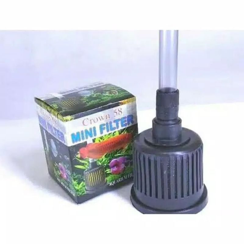 mini filter crown aquarium aquascape