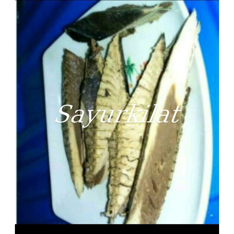 

Ikan tongkol (1 potong dan 5 potong)