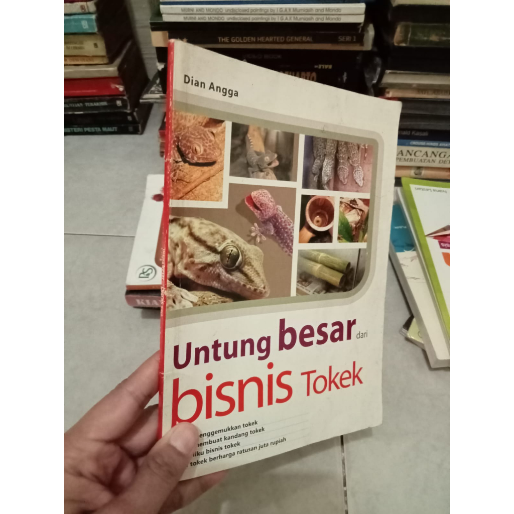 Untung Besar Dari Bisnis Tokek