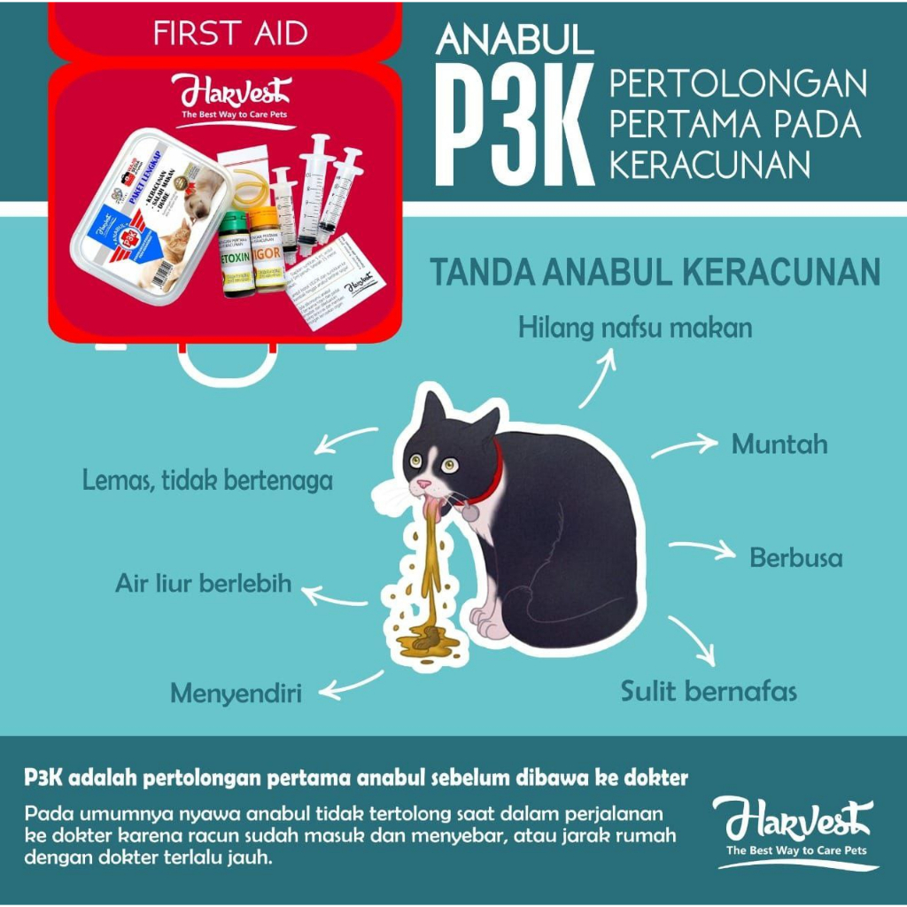 OBAT DIARE MUNTAH KERACUNAN UNTUK ANJING KUCING KERACUNAN OBAT TIKUS