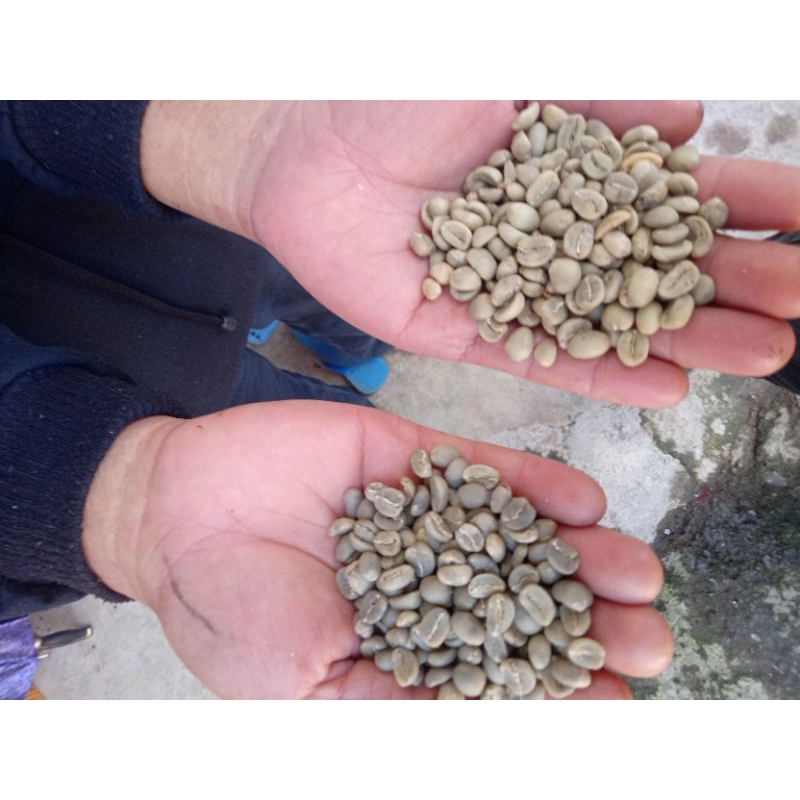 

greenbean/biji kopi Arabika pegunungan dieng