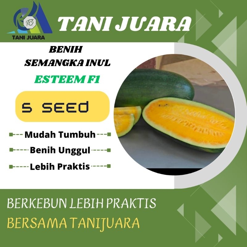 BENIH SEMANGKA INUL 5 BIJI - BIBIT SEMANGKA INUL KUNING ESTEM / BIG MADURI F1