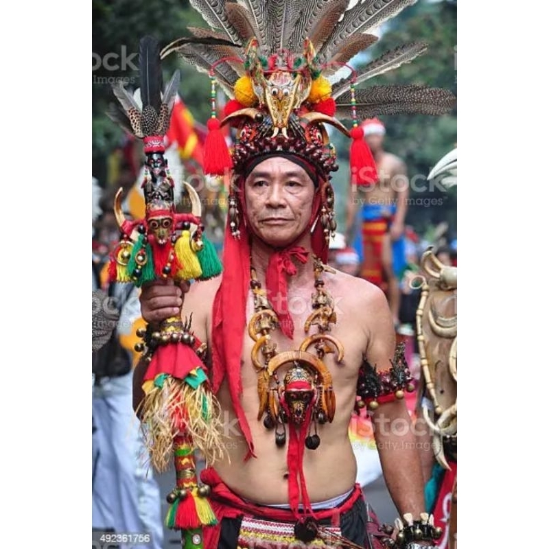 minyak urut dayak dari rempah pilihan hutan perawan original 100%/massage oil dayak tribe of borneo made from roots,spices spesial potion hand on.from great ancestor