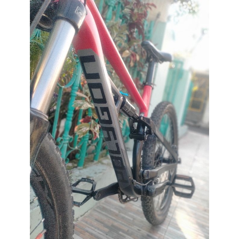 Polygon siskiu D5 2022