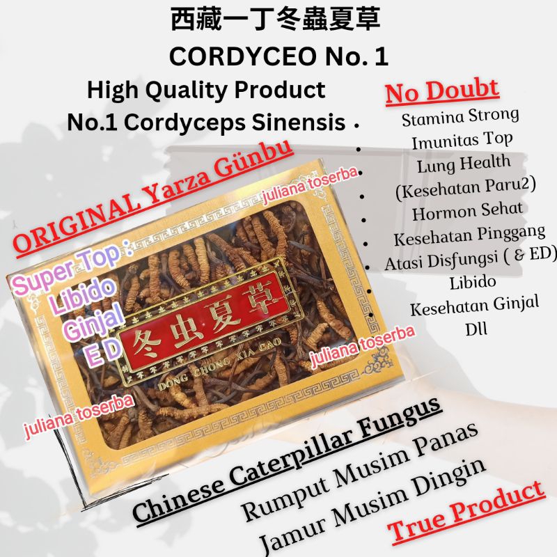 

王中王正冬蟲夏草 Rumput Ulat Salju Chinese Caterpillar Fungus Cordyceo Cordyceps Per Box Isi 1 Tael