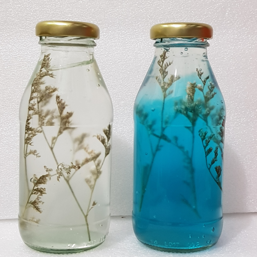 Botol wish in   jar Wished Bottle   / Kado unik Botol  ucapan /  botol Aesthetic klasik / botol ucapan selamat  / Botol Authetic klasik/Jar of notes Wish Jar Messages In a Bottle Capsul  FREE PAPER BAG